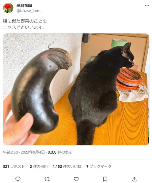 黒猫そっくりの「ニャスビ」