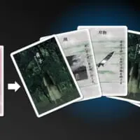 ババ抜きのババに当たるカードが「呪い」カード