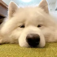 別角度から撮った写真