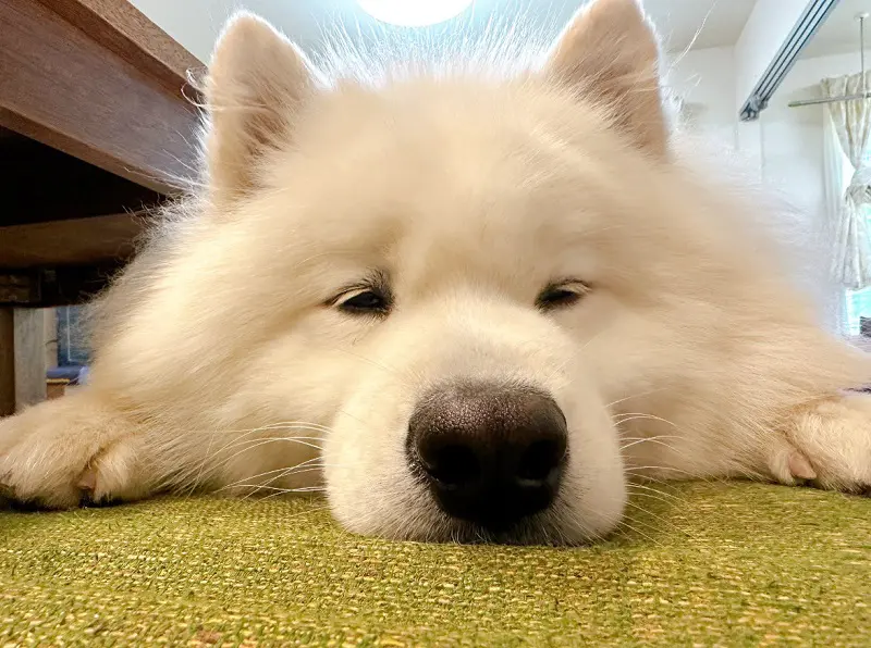 別角度から撮った写真