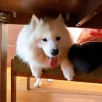 サニーくんのお気に入りの場所