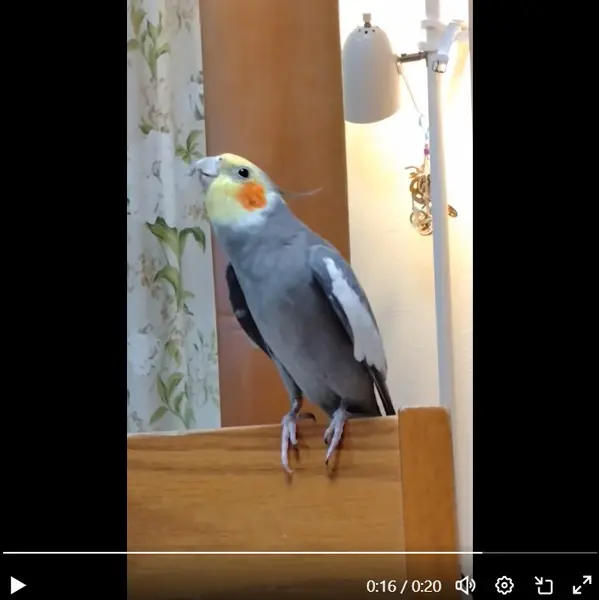 長めのフレーズはアレンジが強め