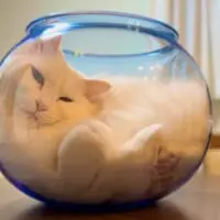 まさにジャストフィット