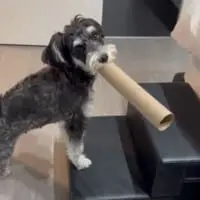 ねえ、どうしたらいい？