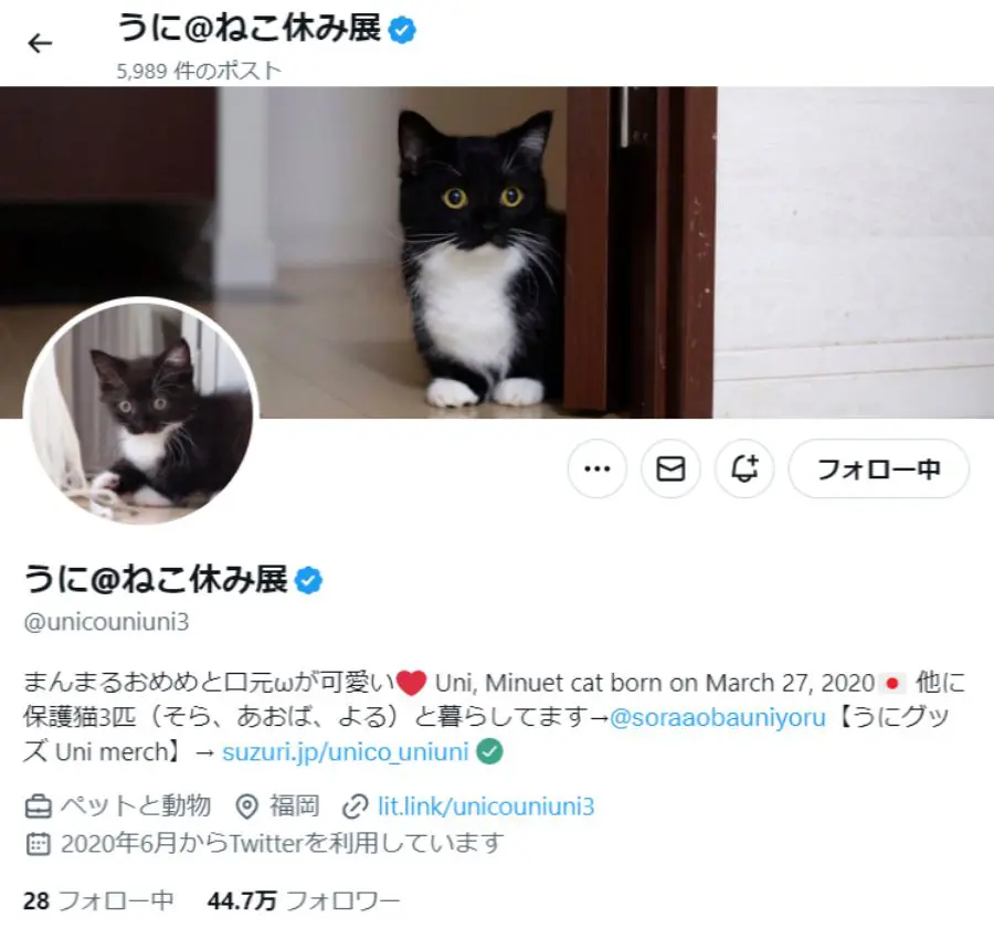 「うに@ねこ休み展」さん