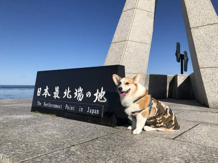 北海道で撮影