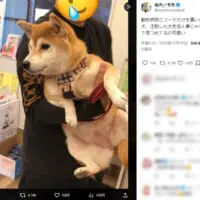 他人事とは思えず、「大丈夫かなぁ……」と心配そう