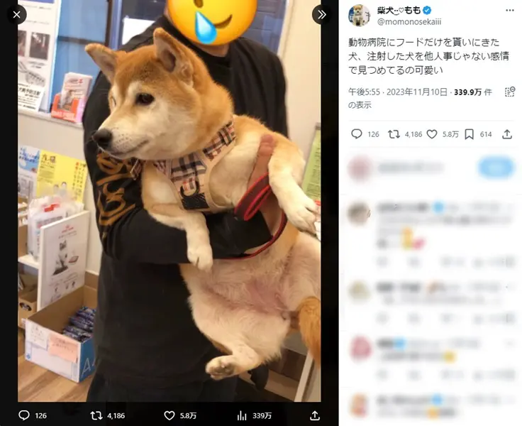 他人事とは思えず、「大丈夫かなぁ……」と心配そう