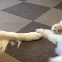 怒られてしまって動揺