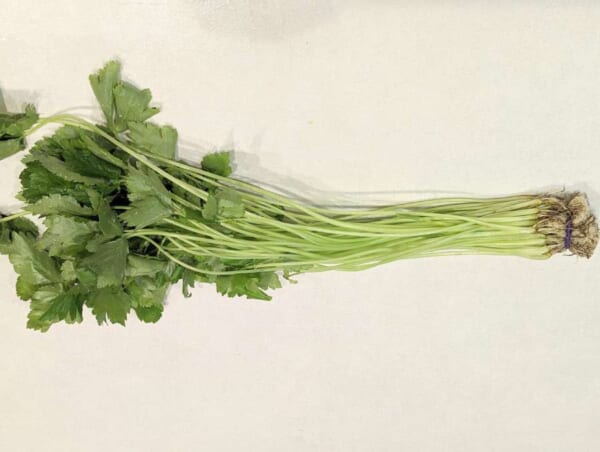 野菜のプロがアドバイス「12月に入ったらみつばを冷凍して！」　年末年始には価格が高騰