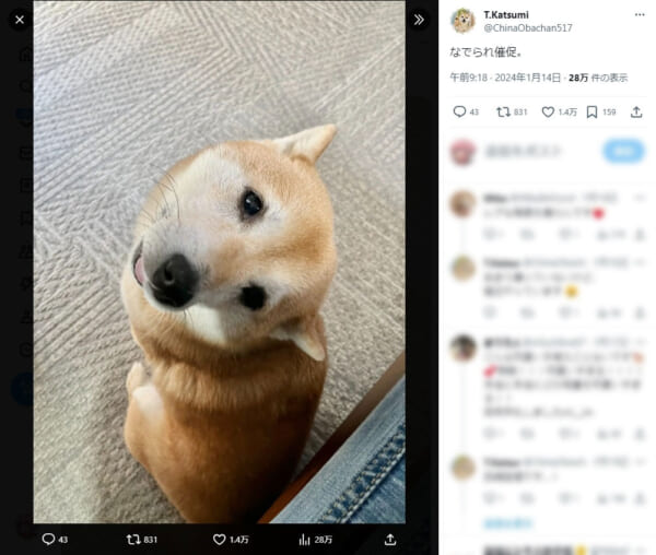 なでられ催促