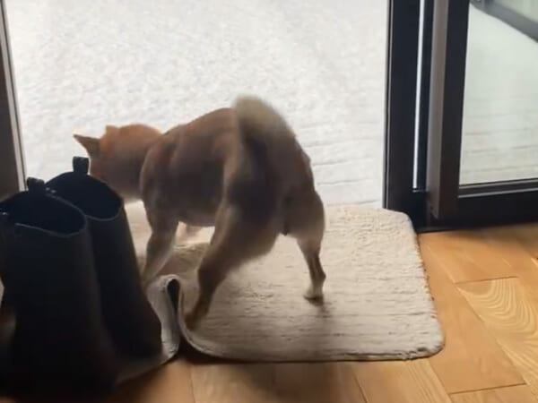 急ブレーキで「おっとっと！」