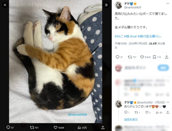 飼い主さんが「金メダルが獲れそう！」と絶賛した寝相を披露した三毛猫のナツ