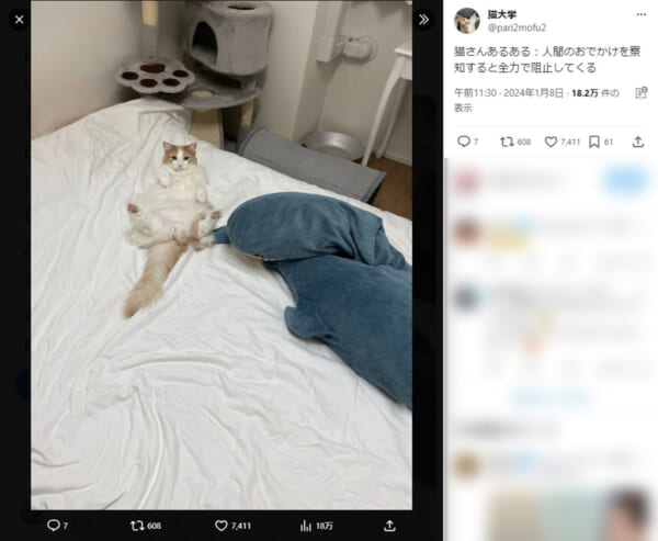 飼い主のおでかけを全力で阻止