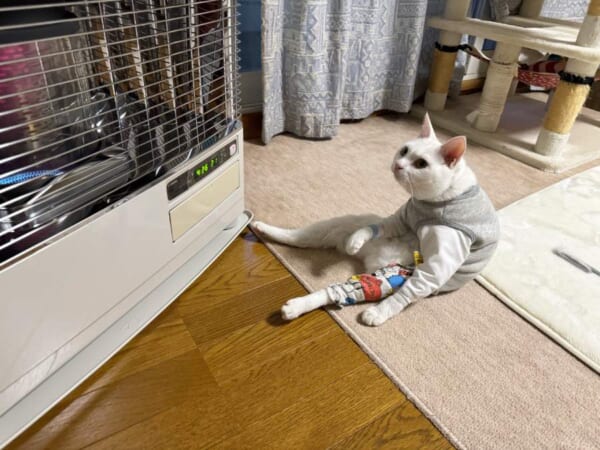 中に人入ってる？ストーブの前でくつろぐ猫ちゃんの姿が休日の自分と重なる