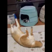 実は起きていた