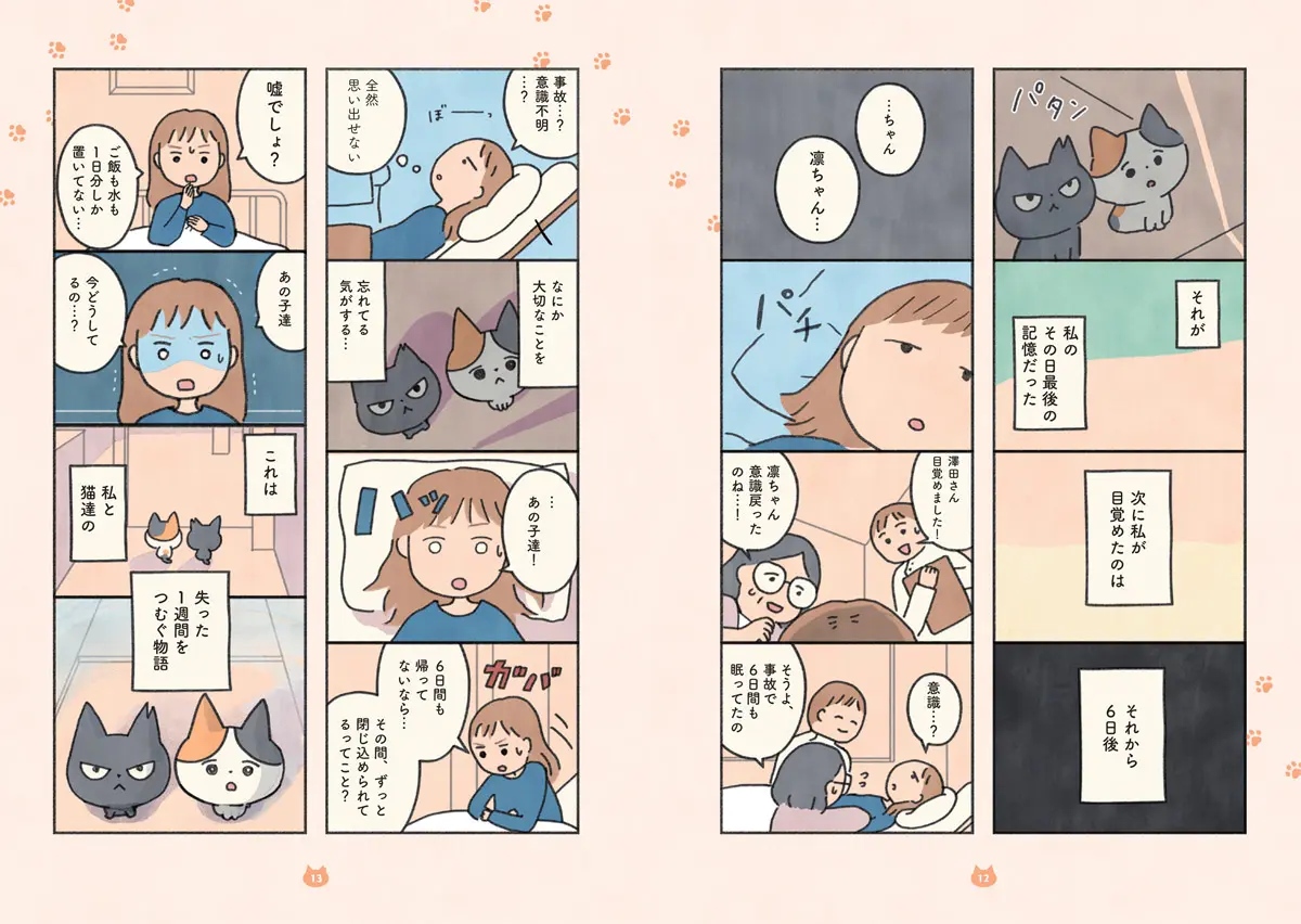 「もしもなんて来ないと思ってた猫」12－13