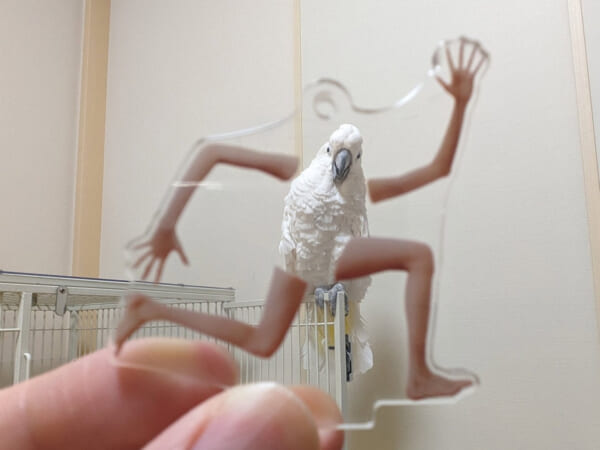 「なんでも元気になる四肢」をかざしたら……