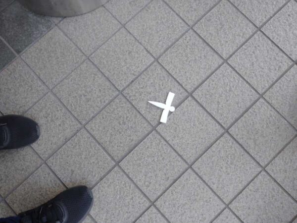 きゃめさんが目撃した式神