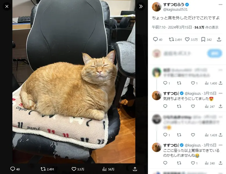 「ちょっと席を外しただけでこれですよ」と、呆れた感じでSNSに写真を投稿した飼い主さん