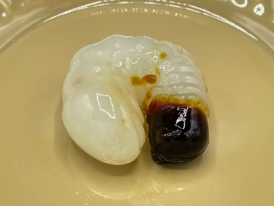 基本編でも十分リアル