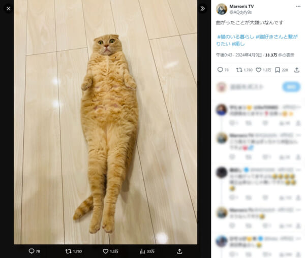 Marron's TVさんの投稿