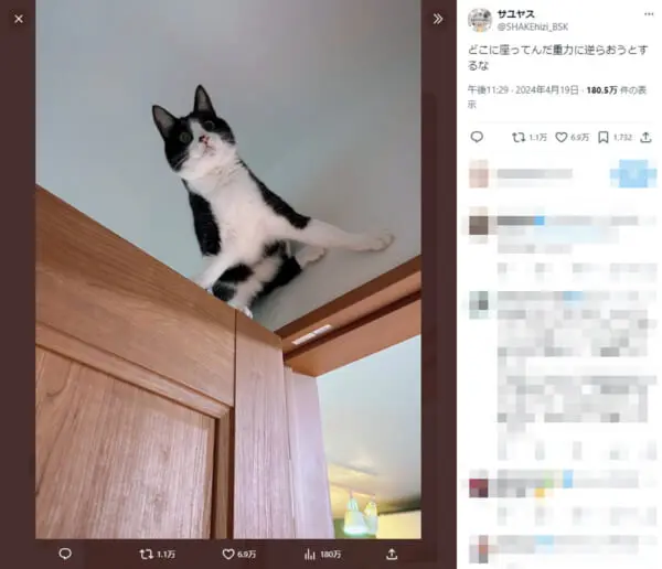 サユヤスさんの投稿