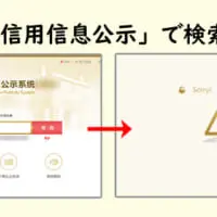 「国家企業信用信息公示」で検索した結果