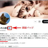 もふもふ動画のアカウント