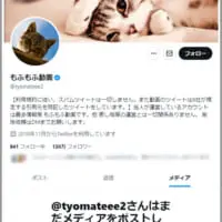 メディア欄から画像が消えた