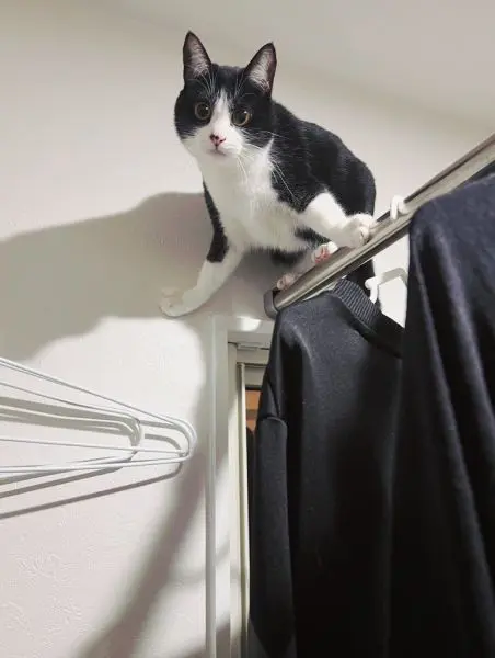 まだまだ手がかかるやんちゃなティナちゃん