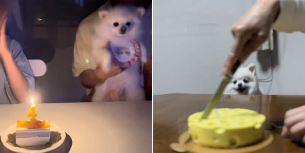 ケーキの大きさでテンション激変