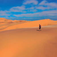 砂漠を歩くひろゆき