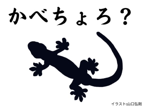 「かべちょろ」って知ってますか？