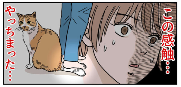 「猫ふんじゃった！？」と慌てる飼い主