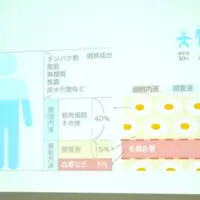 水分は筋肉細胞などの細胞内液に40％、細胞の間をうめるような液体（細胞内液）に20％