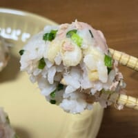 めんつゆ＋揚げ玉＋シーチキンの愛称は抜群