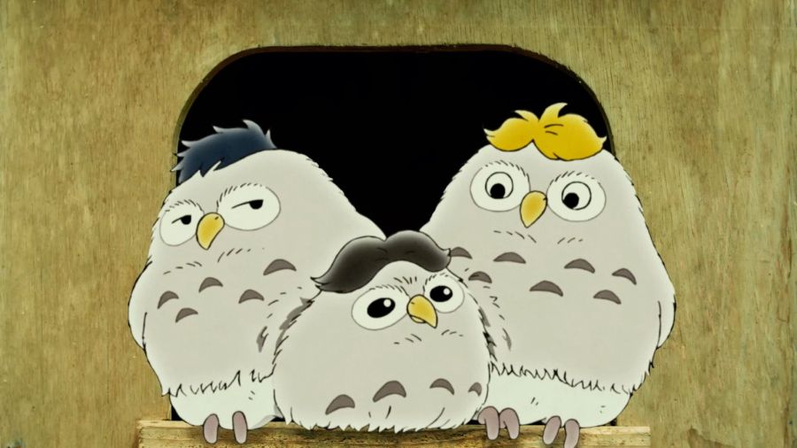 稲垣さん、草なぎさん、香取さんに似た顔のフクロウの三兄弟