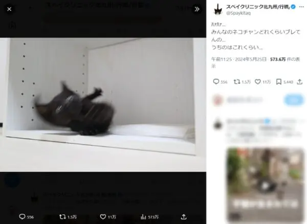 今回の写真にも11万いいね