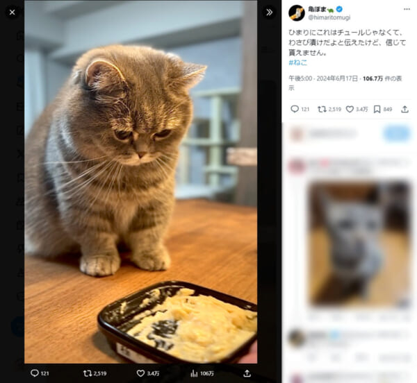 わさび漬けに興味津々な猫が話題