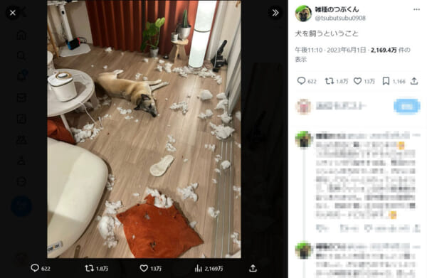 犬を飼うということ