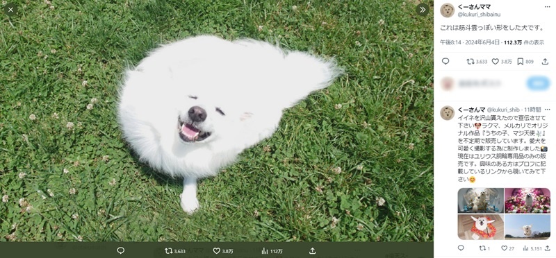 「これは筋斗雲っぽい形をした犬です」と紹介した飼い主さん