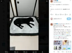 ベッドにワンちゃん型の大きな穴がぽっかり？錯覚写真にびっくり仰天