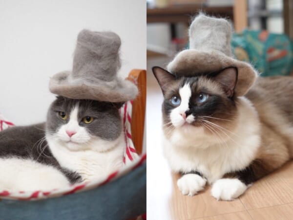 似合うかニャ？猫の抜け毛で作ったシルクハットがかわいすぎる