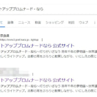 Google検索の結果