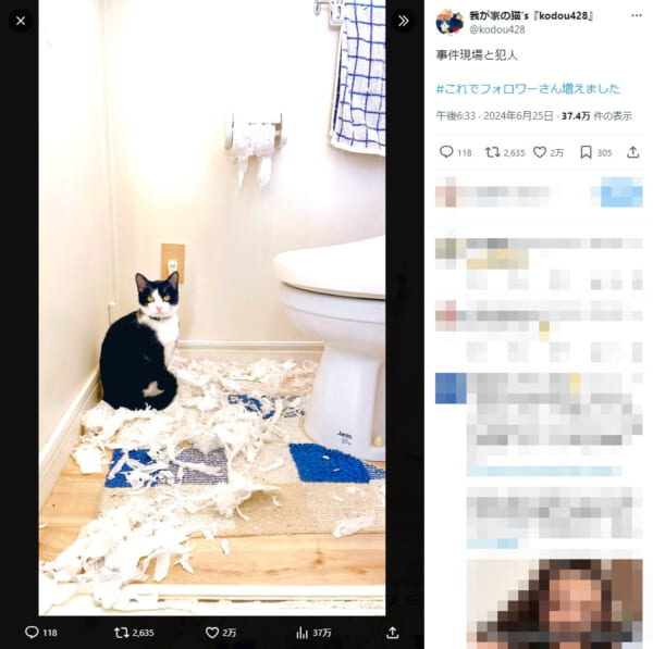 トイレットペーパーがズタズタに…