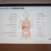 ICIによるがん免疫療法のいまとこれから