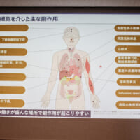 ICIによるがん免疫療法のいまとこれから