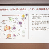 ICIによるがん免疫療法のいまとこれから