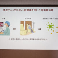 ICIによるがん免疫療法のいまとこれから